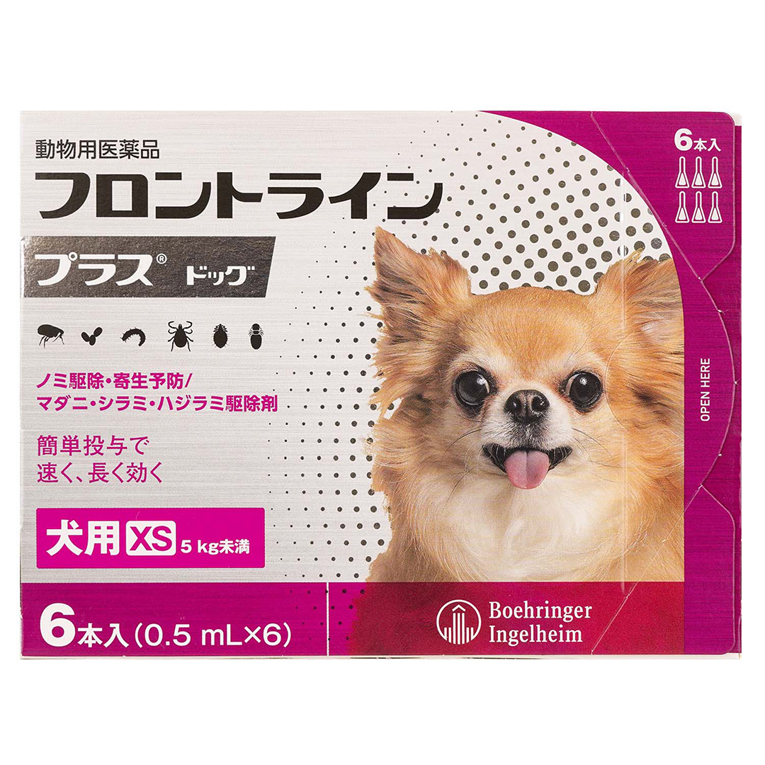 【8】犬用XS　6本　4,580円