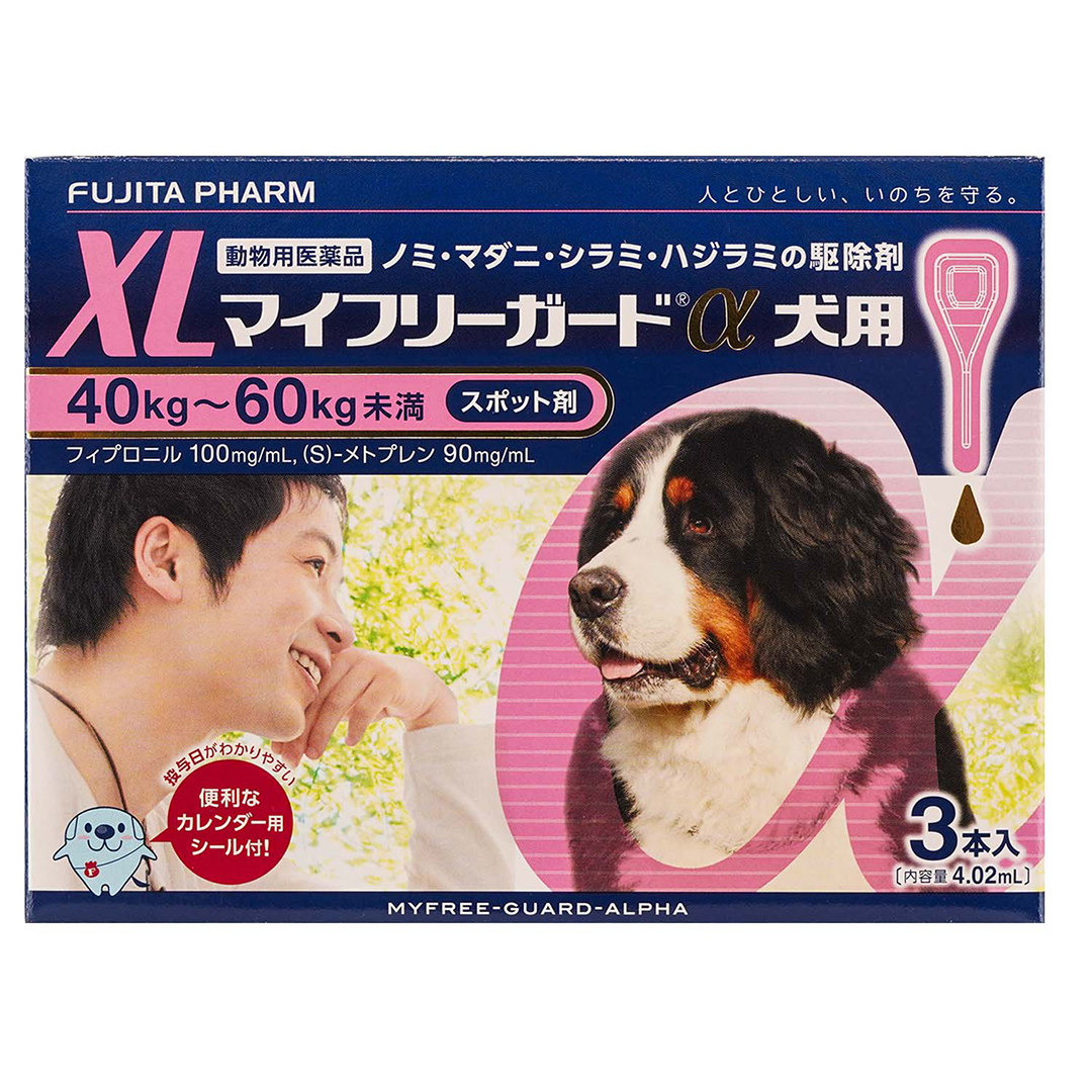 【5】犬用XL　３本入り　2,591円