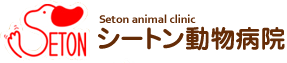 ホームページ